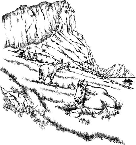 mountain goat climb  hill coloring pages mountain goat climb