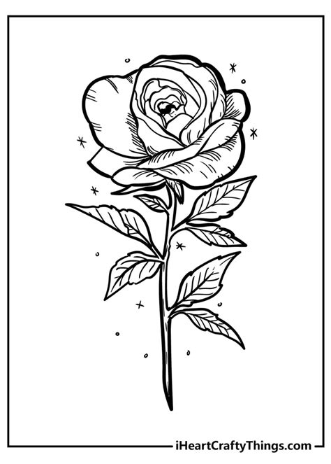 rose coloring pages original
