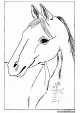Pferdekopf Ausmalen Ausmalbilder Caballo Caballos Hellokids Cavalo Yodibujo Drucken Cheval Línea sketch template