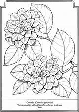 Coloring Pages Dover Flowers Publications Psalm Welcome Book Adults Color Printable Flower Adult Para Colorir Adultos Template Doverpublications Zb Samples sketch template