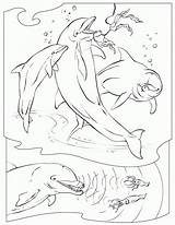 Coloring Pages Dolphins Adults Blue Island Comments Popular Coloringhome sketch template