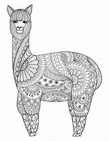 Coloriage Mandala Difficile Tiere Artherapie Lamas Alpaca Imprimer Alpacas Llama Colorir Modeste Zentangle Sur sketch template