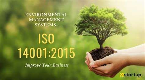 iso   certification improve  business