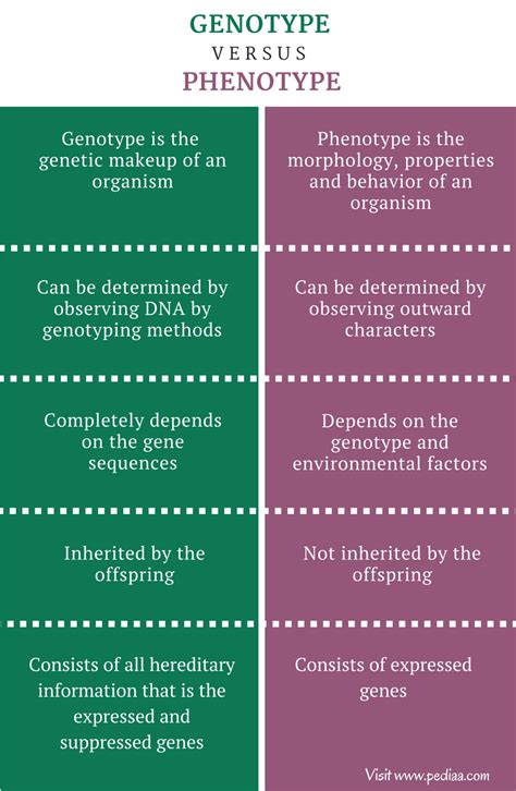 difference between genotype and phenotype pediaa