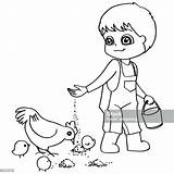 Chicken Coloring Feeding Vector Child Book Stock Cartoon Human Age Baby sketch template