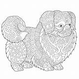 Zentangle Pechinese Hund Pekinese 30seconds sketch template