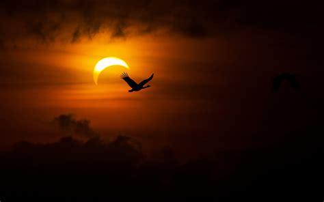 nature solar eclipse  ultra hd wallpaper