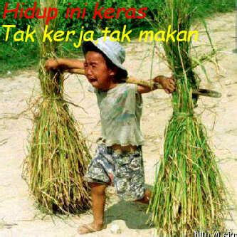 hidup  keras tak kerja tak makan kamoe kata kata