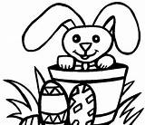 Coloring Pascua Bunny Huevos Huevo Montana Bunnies sketch template