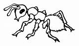 Ant Coloring Fire Ants Pages Dangerous Color Print Button Using sketch template