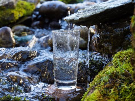 gesundes mineralwasser wasser als lebenselixier