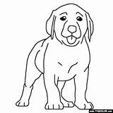 Lab Labrador Coloring Puppy Dog Pages Drawing Dogs Puppies Chocolate Color Thecolor Sheets Colouring Kids Line Getdrawings Animal Drawings Books sketch template