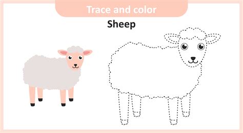 trace  color sheep  vector art  vecteezy