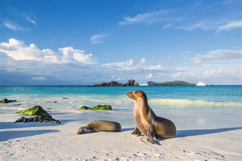 travel diary galapagos islands galapagos islands island island beach