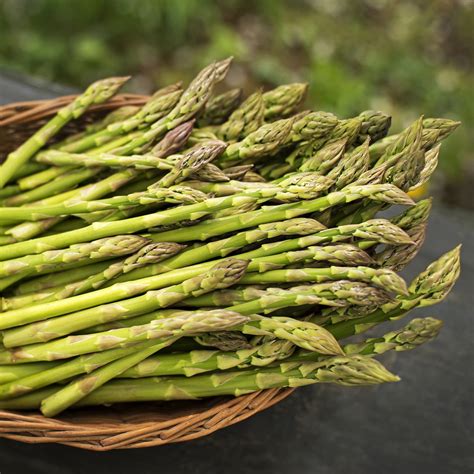 asparagus  versatile veggie bursting  health benefits greenstar