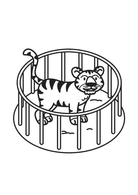 coloring page tiger  cage  printable coloring pages img