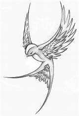 Bird Drawing Flying Simple Tattoo Sketch Swallow Tattoos Sparrow Getdrawings sketch template