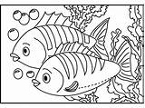 Coloring Fish Pages Clipart Detailed Library sketch template