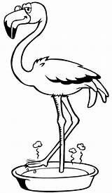 Flamingos Comofazeremcasa sketch template