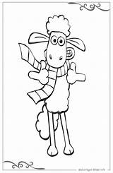 Schaf Shaun Ausmalbilder Ausdrucken Ausmalbild Schafe Malvorlagen Kinderbilder sketch template
