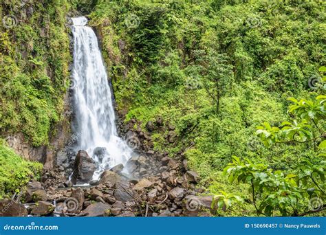 beautiful waterfall in dominica trafalgar falls caribbean island