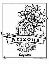 Arizona Coloring Flower State Cactus Pages Tattoo Saguaro Blossom Printable Kids Clipart Cliparts Color Flowers Print Scouts Wolf Jr Pdf sketch template