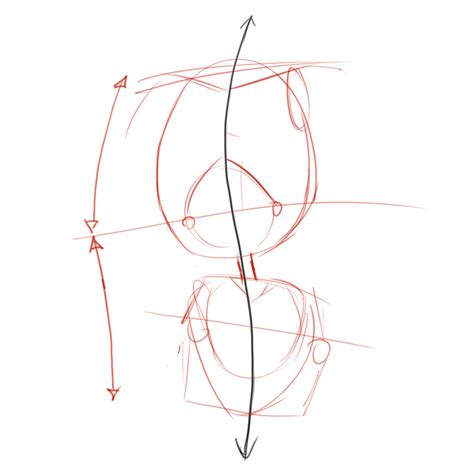 How To Draw The Torso Front View