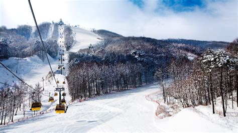 skiing  south korea       pyeongchang escapism magazine