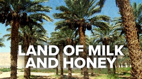 visit israel   home  land  milk  honey visit israel