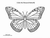 Butterfly Monarch Coloring Pages Drawing Outline Line Printable Getcolorings Color Print Getdrawings Paintingvalley Popular Exploringnature Sheets sketch template