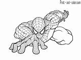 Spider Spiderman sketch template