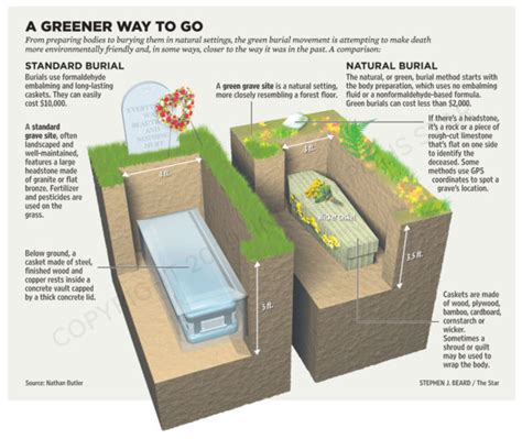 green burial works diagram  comparison  traditional burial