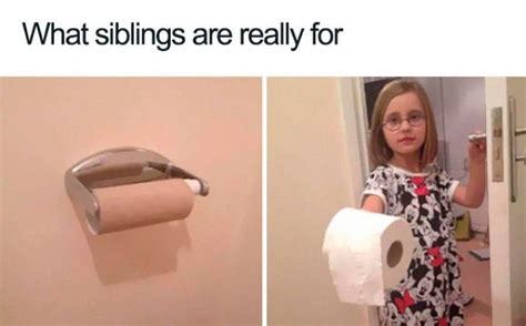 17 Sibling Memes That Are Annoyingly Relatable Sibling Memes