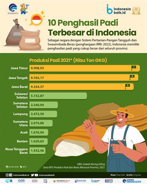 penghasil padi terbesar  indonesia indonesia baik