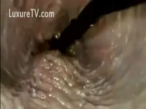 download camera inside the vagina being fucked from