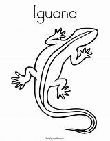 Iguana Coloring Built California Usa sketch template