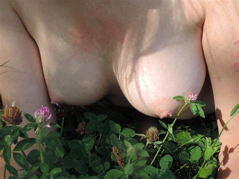 Clover And Tits [image] Porn Pic Eporner