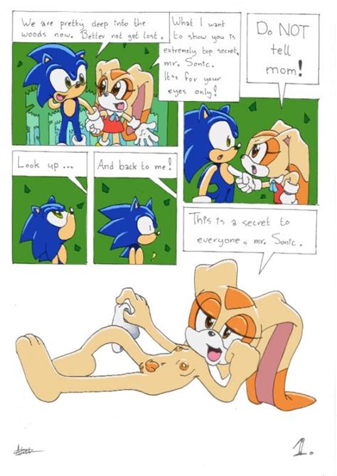 Sonic The Hedgehog Comics And Hentai On Svscomics Cum Inside