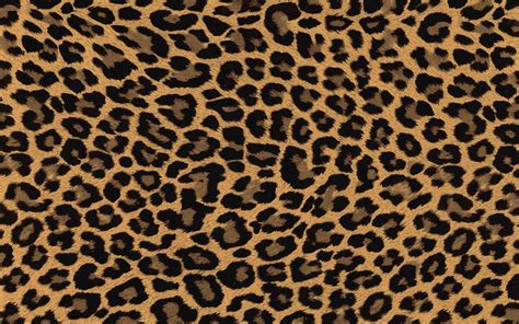 animal wallpapers leopard print wallpaper images   finder