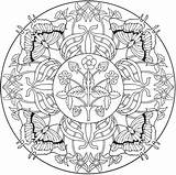 Butterfly Dover Colouring sketch template