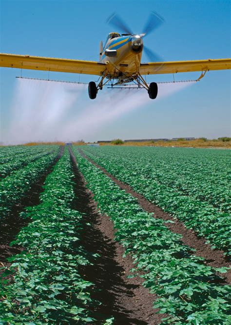 Pesticides And Autism Spectrum Disorders New Findings From The Charge