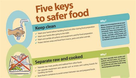 Five Keys To Safer Food Safeconsume En