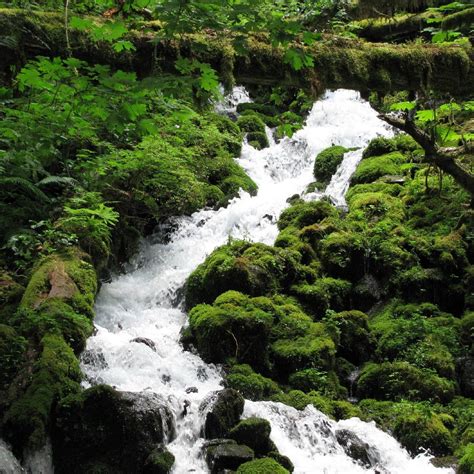 columbia river gorge national scenic area oregon