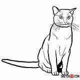 Cat Burmese Draw Drawing Sketchok Step Easy sketch template