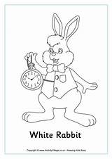 Rabbit Become Activityvillage sketch template