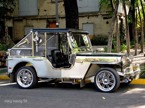 stainless owner type jeep  sale   philippines