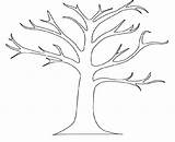 Tree Coloring Pages Branches Leaves Trees Outline Collection Print Kids sketch template