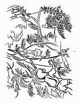 Botany Sassafras sketch template