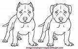 Pitbull Perros Calcar Pintar Terrier Mascotas Rajzok Perritos Cachorro Iluminar Sus Bebes Pixels Leerlo Tendrás sketch template