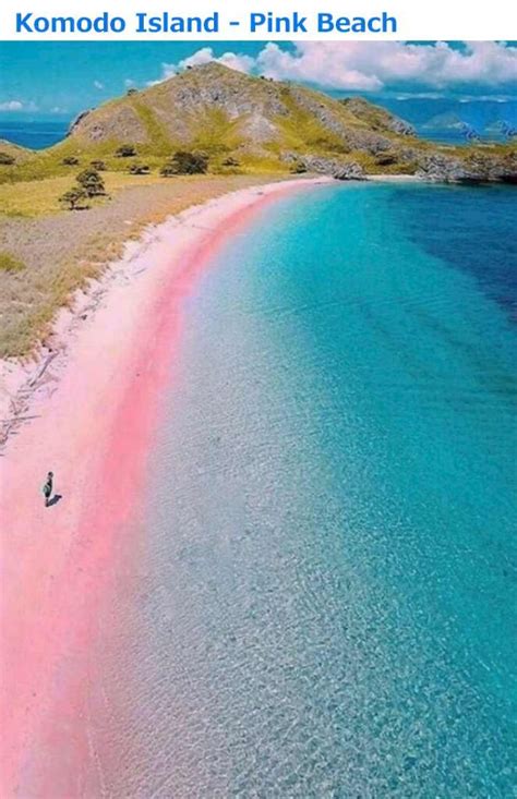 The Best Pink Beach In The World Europe Ans Asia